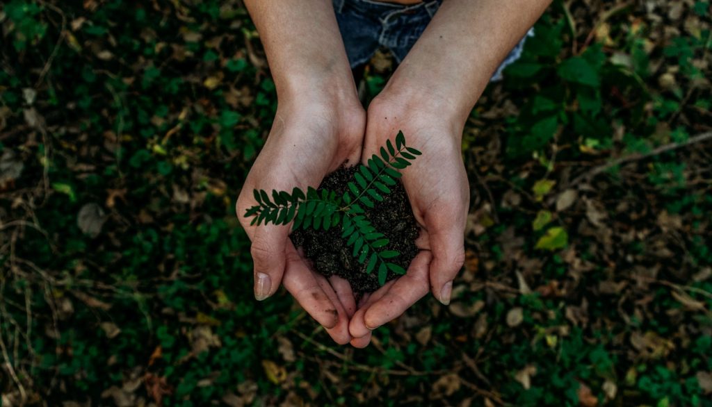 tendência para o crescimento empresarial: ESG. Na imagem, mãos segurando um punhado de terra com planta, representando a sustentabilidade